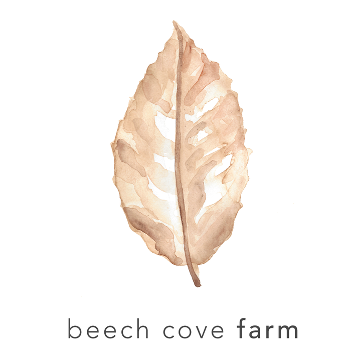 Beech Cove Farm
