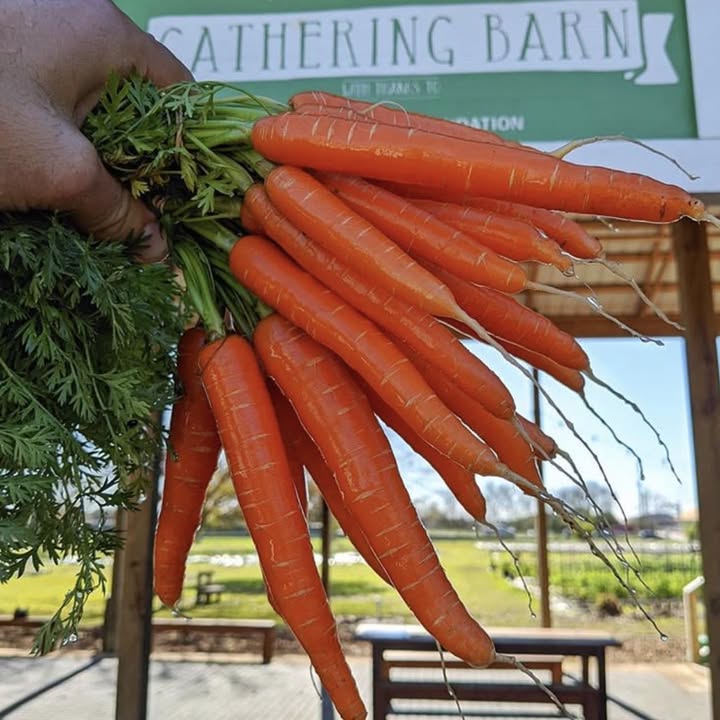 Hope Farms Urban Agricultural Showcase and Training Center - Recipe for Success