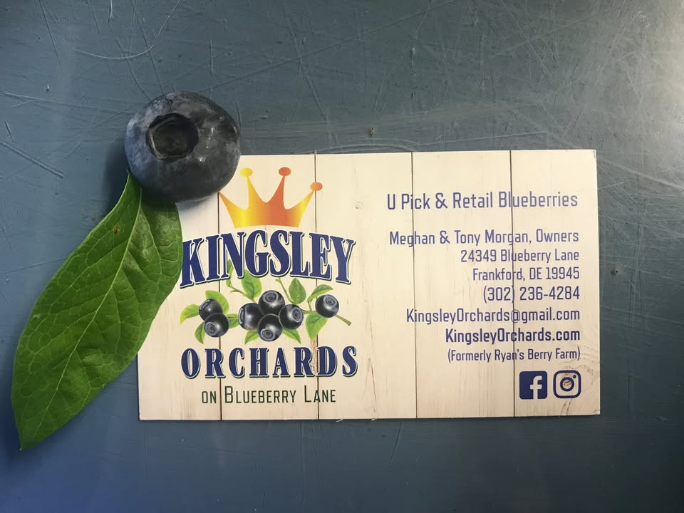 Kingsley Orchards on Blueberry Lane