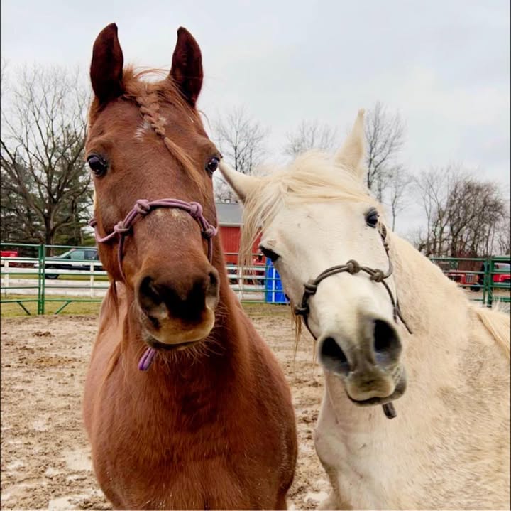 Double J Farms