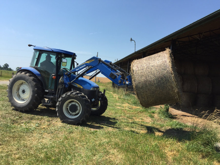 JJJM Grass Fed Beef photo 3